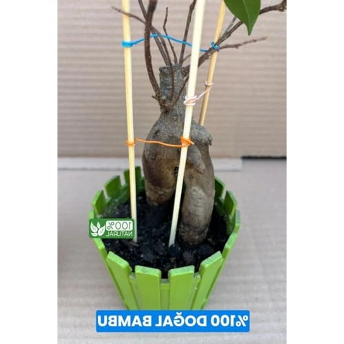 30 cm Uzunluğunda 10 Adet Bambu Bitki Destek Kazığı