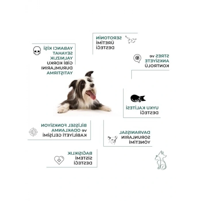 Bitki Özlü Sakinleştirici Takviye, 60 Tablet