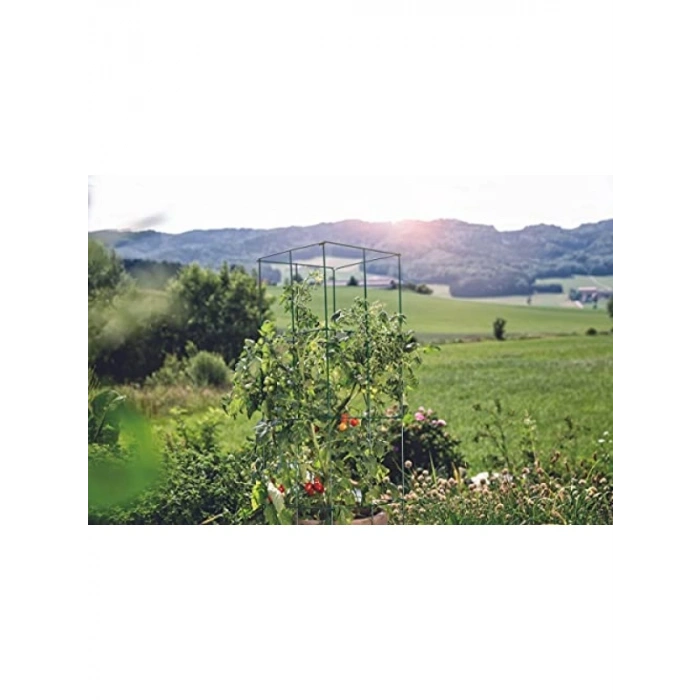 Bitki Sardırma Kafesi - 4 Parça Set