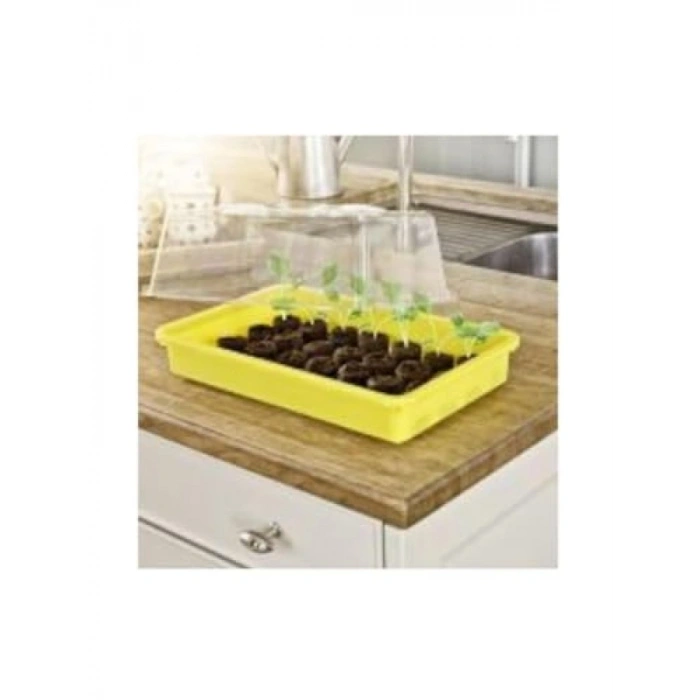 Bitki Serme Tepsisi, 38x24x6 cm