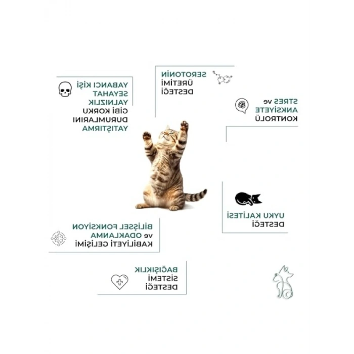 Bitkisel İçerikli Sakinleştirici Kedi Maltı 100 Ml