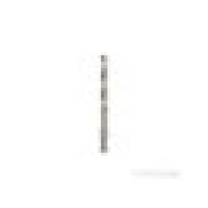 Bosch - Merkezleme Ucu Hss-G - 100