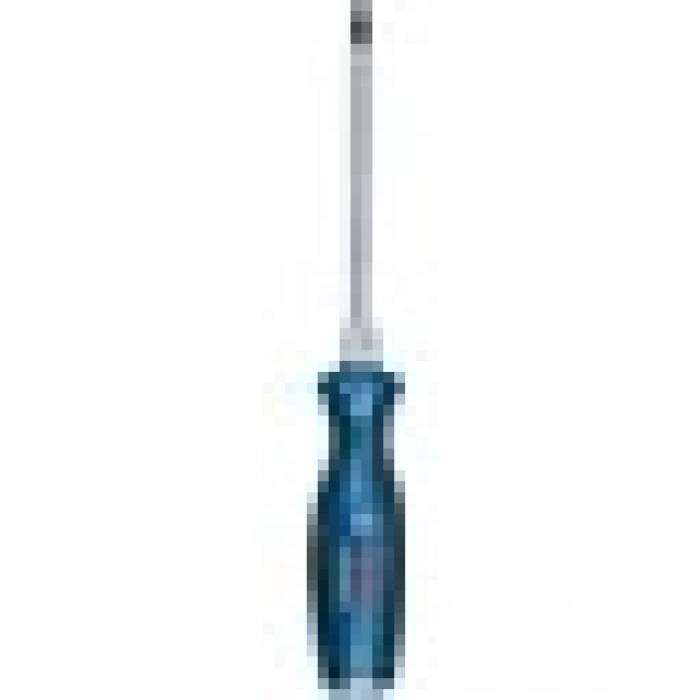Bosch Profesyonel Tornavida SL6.5X125MM