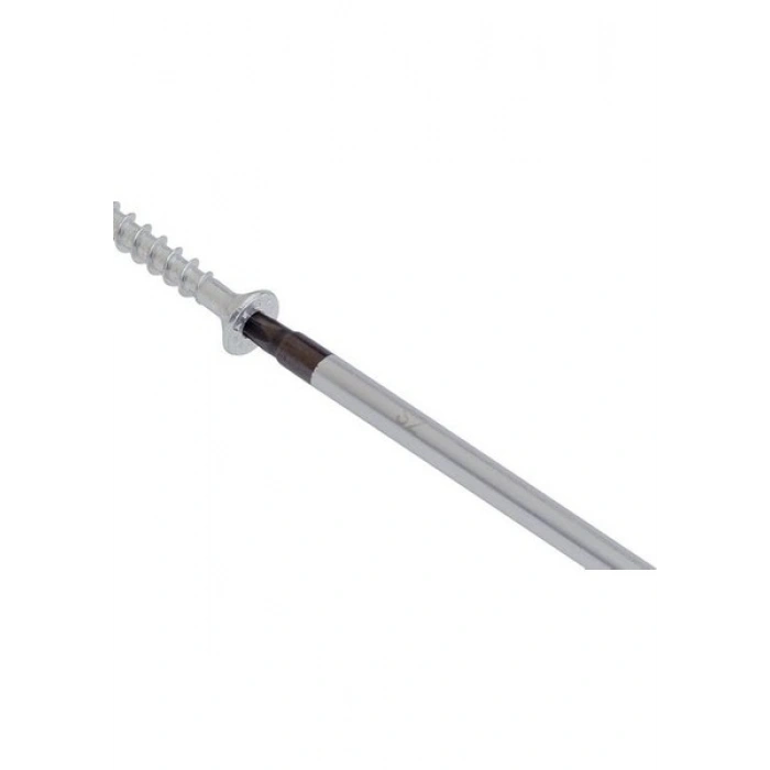 Bosch Profesyonel Torx Tornavida TX20X100