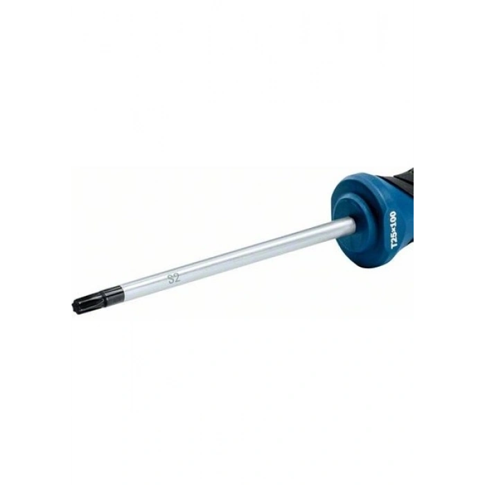 Bosch Profesyonel Torx Tornavida TX25X100