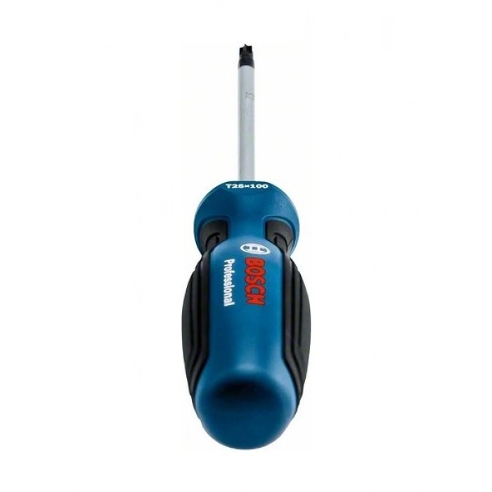 Bosch Profesyonel Torx Tornavida TX25X100