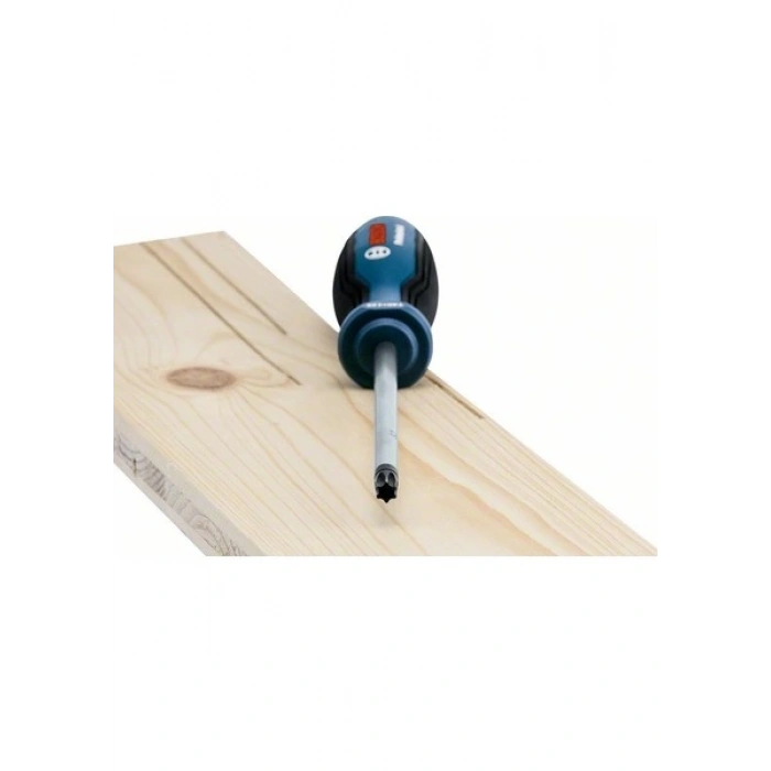 Bosch Profesyonel Torx Tornavida TX40X125