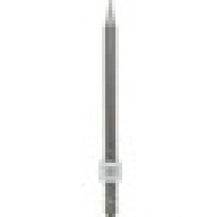 Bosch Sivri Keski 19Mm Altıgen Giriş Şaftı 400Mm