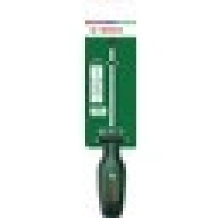 Bosch Tornavida Pozidrive Pz1 x 100 mm
