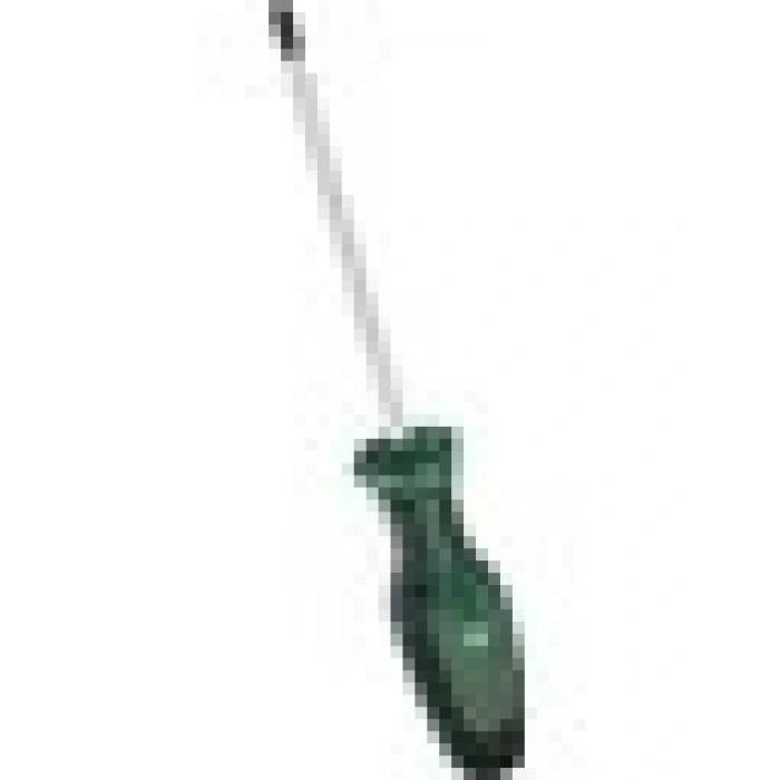 Bosch Tornavida Torx TX30 x 125 mm