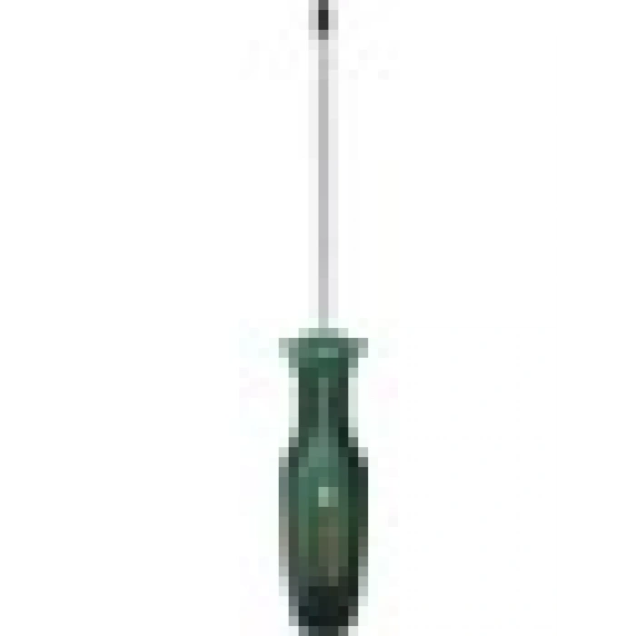Bosch Tornavida Torx TX30 x 125 mm