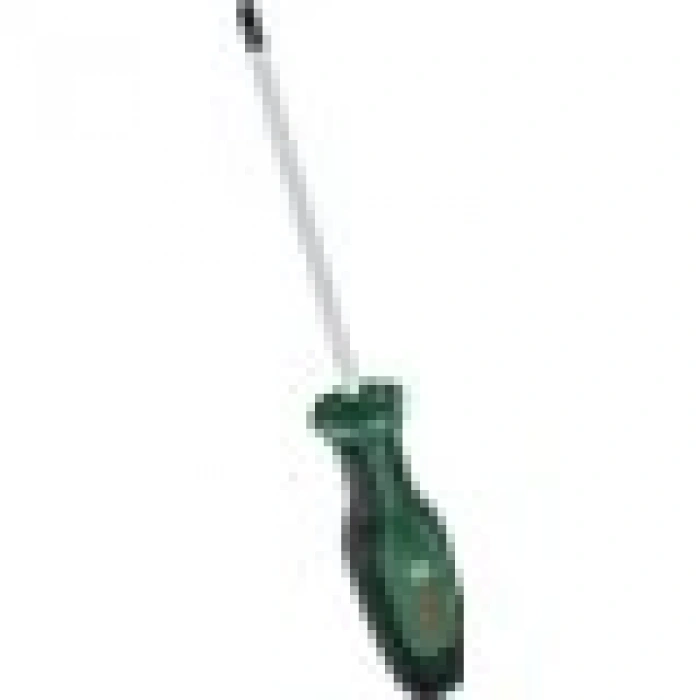 Bosch Tornavida Torx TX30 x 125 mm