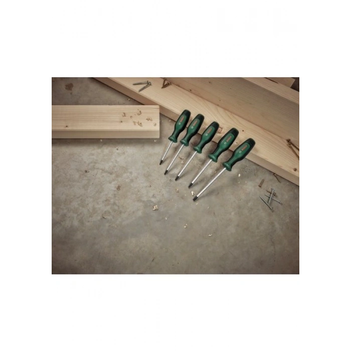 Bosch Torx Tornavida Seti 5 Parça