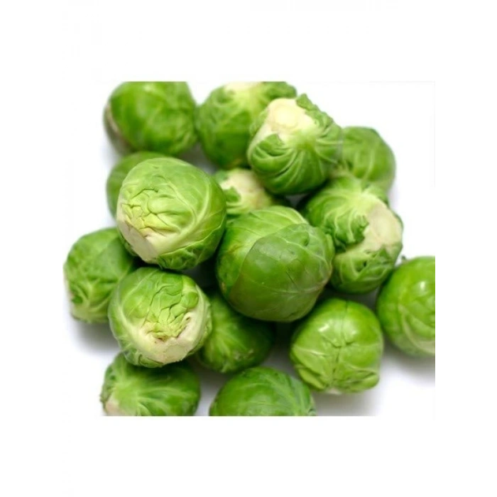 Brüksel Lahanası Tohumu, Yüksek Verim