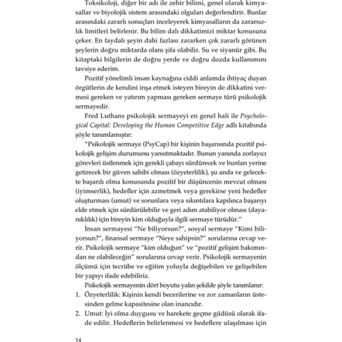 Bu Bir Yatırım Tavsiyesidir - Psikolojik Sermaye - Hülya Mutlu