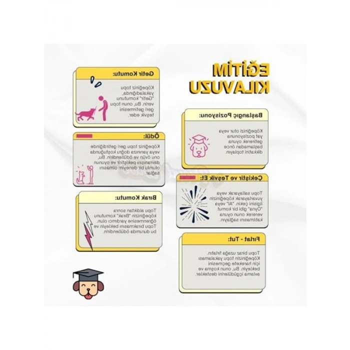 Büyük Boy 9 cm Eğitim Topu, 2 Adet Set