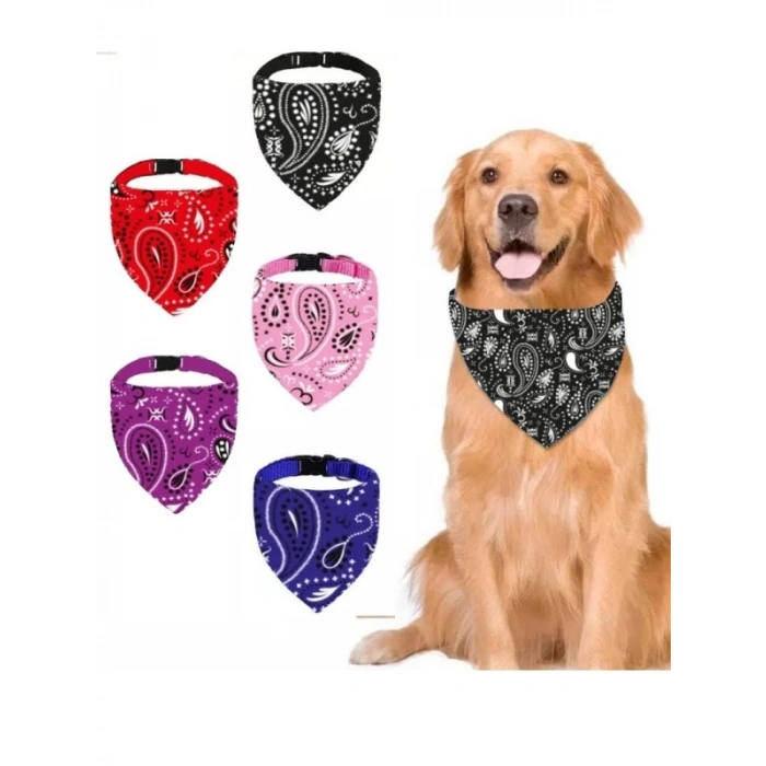Büyük Boy Köpek Boyun Tasması - Siyah