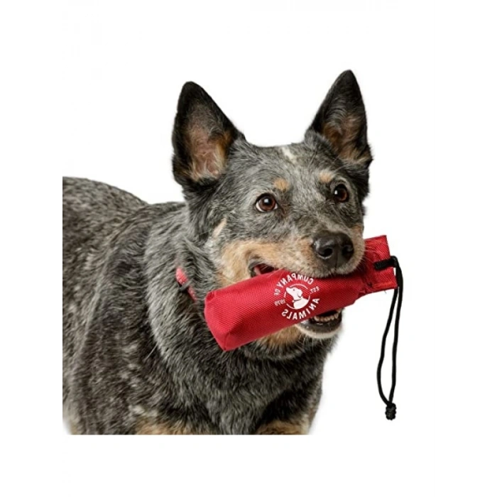Büyük Boy Köpekler İçin Yüzer Dummy Eğitim Oyuncağı