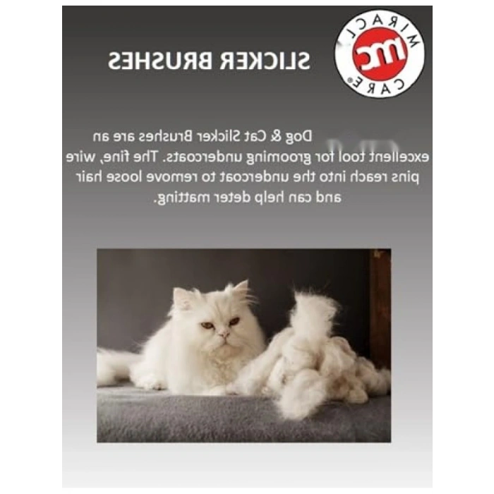 Büyük Boy Siyah Slicker Köpek Fırçası