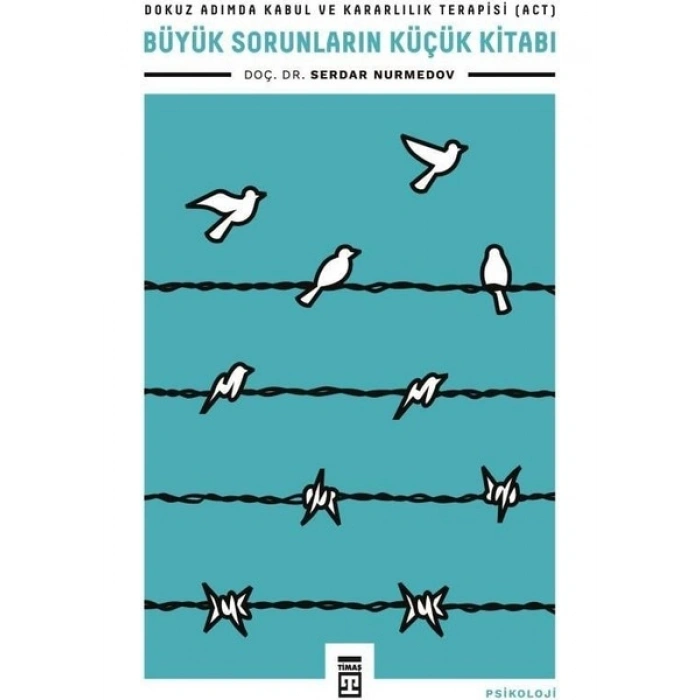 Büyük Sorunların Küçük Kitabı - Serdar Nurmedov