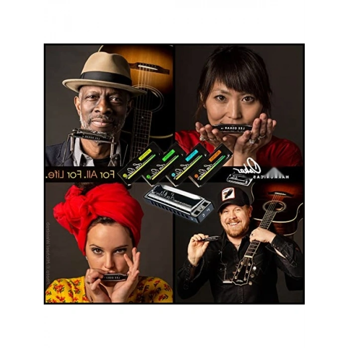 C-Dur Diatonik Mundharmonika - Üst ve Alt Plaka Seti