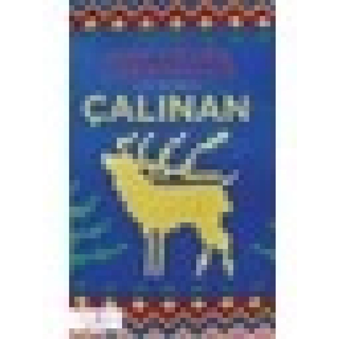 Çalınan – Ann - Helen Laestadius