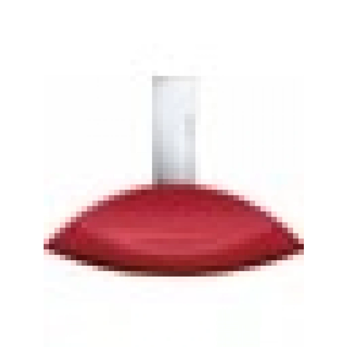 Calvin Klein My Euphoria Edp Red 100 Ml Kadın Parfümü