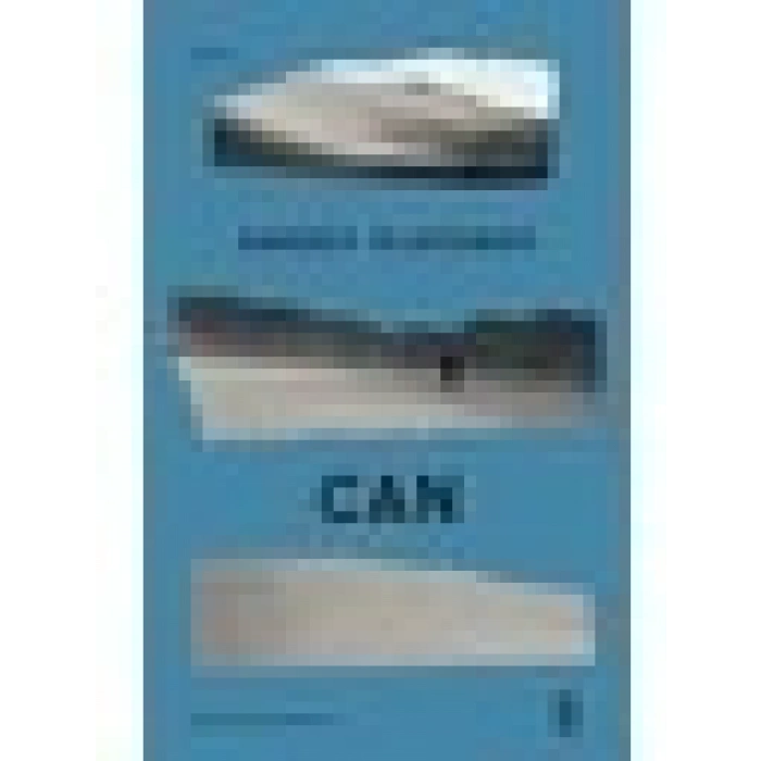 Can - Andrey Platonov