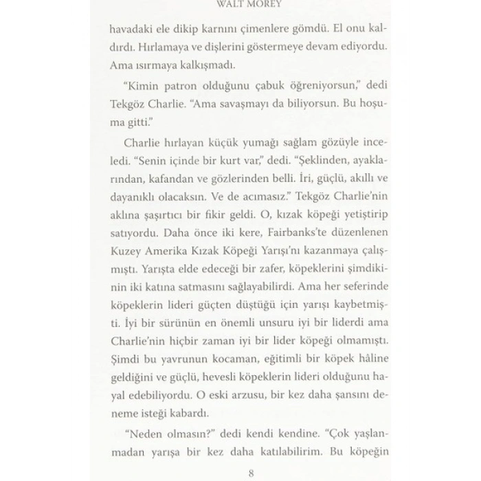 Can Dostum