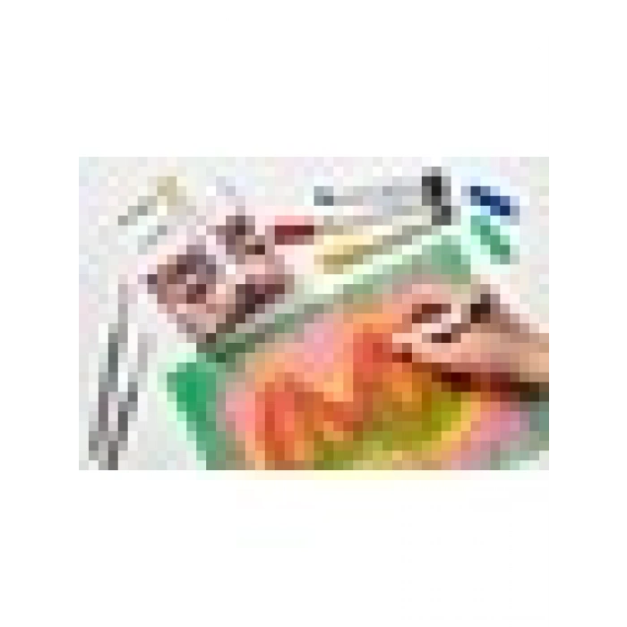Carioca Plus Art Crayon Boya 6lı