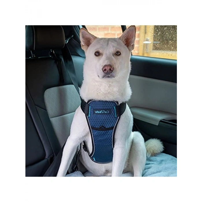 Çarpışma Testli Yastıklı Köpek Göğüs Tasması, Orta Boy, Mavi