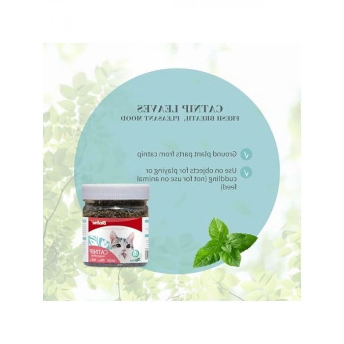 Catnip Kedi Otu, 230 ml 20 gr Asorti Ürün