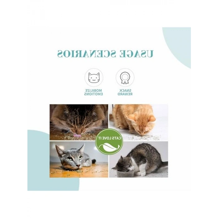 Catnip Kedi Otu, 230 ml 20 gr Asorti Ürün