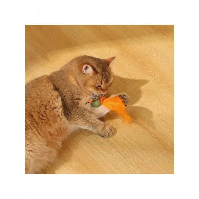 Catnipli kedi oyuncağı, interaktif ve eğlenceli