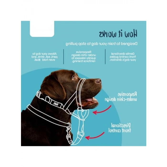 Çekme Önleyici Köpek Halter - Boyut 2 (35-48 cm), Siyah