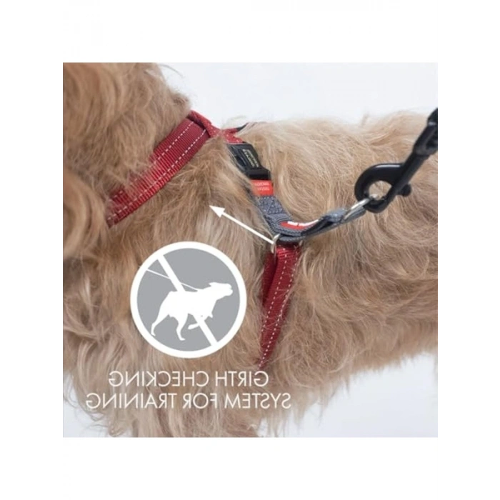 Çekme önleyici köpek tasması, ayarlanabilir, yansıtıcı