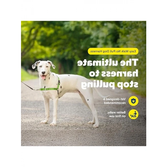 Çekmesiz Elma Yeşili/Gri Köpek Koşumu, Medium/Large Boy