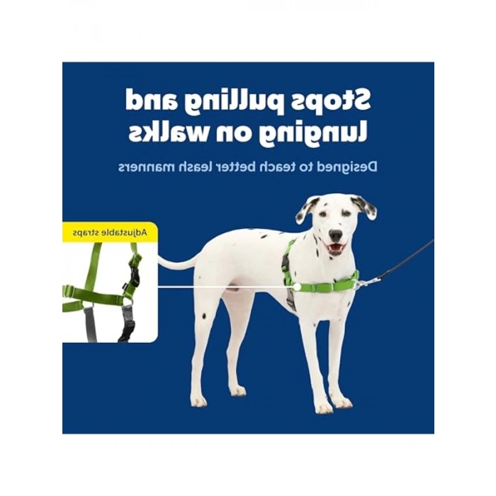 Çekmesiz Elma Yeşili/Gri Köpek Koşumu, Medium/Large Boy