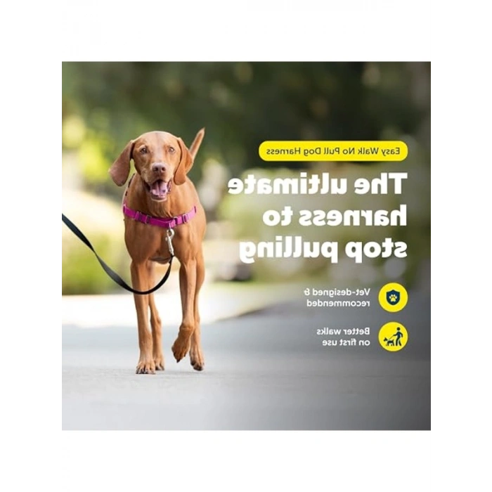 Çekmeyi Önleyen Köpek Göğüs Tasması, Konforlu Yürüyüş İçin