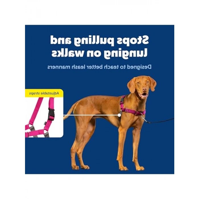 Çekmeyi Önleyen Köpek Göğüs Tasması, Konforlu Yürüyüş İçin
