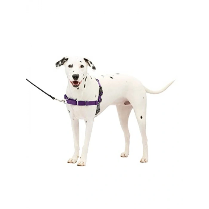 Çekmeyi Önleyici Kolay Kullanım Köpek Tasmaları