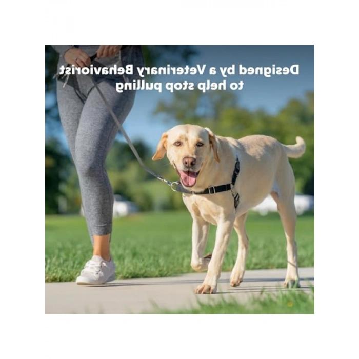 Çekmeyi Önleyici Kolay Kullanım Köpek Tasmaları