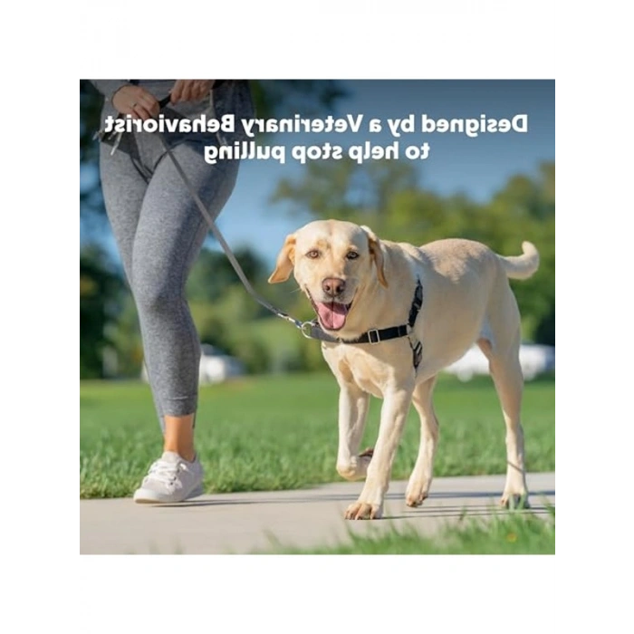 Çekmeyi Önleyici Köpek Göğüs Tasması, No-Pull Tasarım