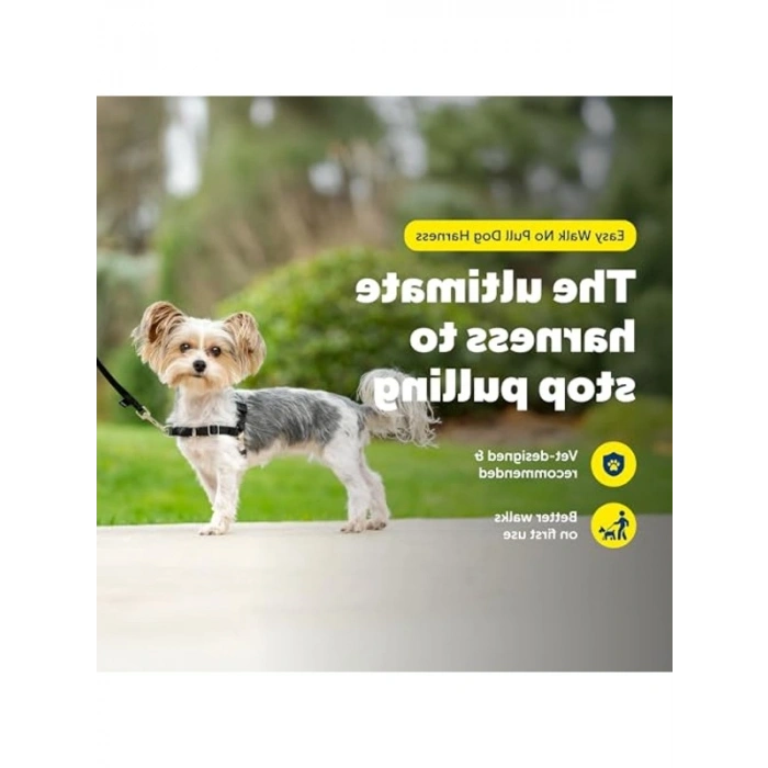 Çekmeyi Önleyici Köpek Göğüs Tasması, No-Pull Tasarım