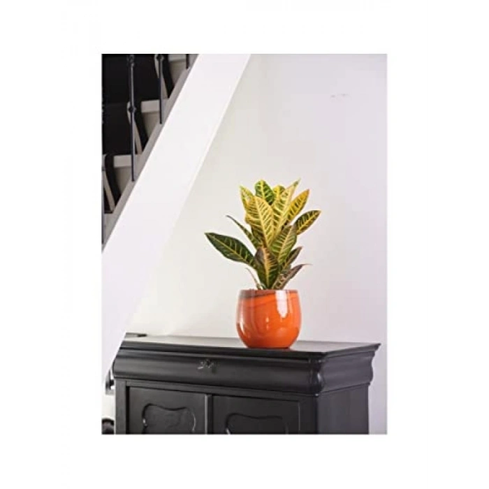 Charlotte Turuncu Seramik Saksı - 23 x 20 cm