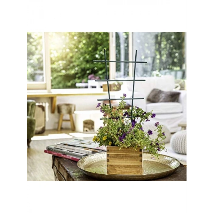 Çiçek Desteği - Sarmaşık Kafesi, Plastik, Düz, Yeşil