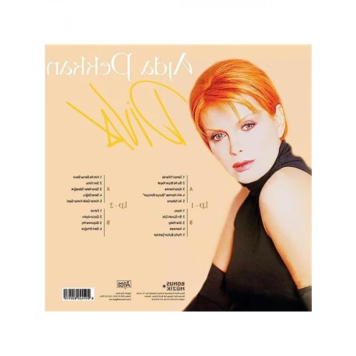 Çift Albüm, Ünlü Sanatçının Eserleri ile Müzik Keyfi