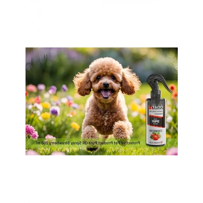 Çilek Kokulu Köpek Bakım Spreyi, 75 ml