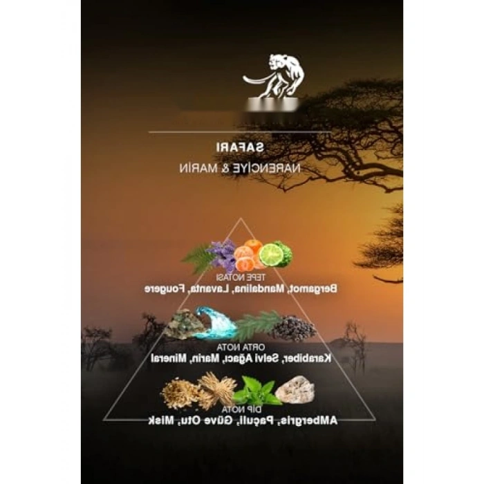 Citrus & Marine Erkek Parfüm (100 ml)