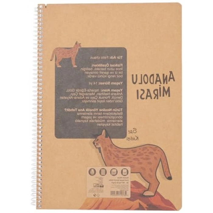 Çizgili A4 Spiralli Defter - 100 Yaprak (Asorti Renkler)